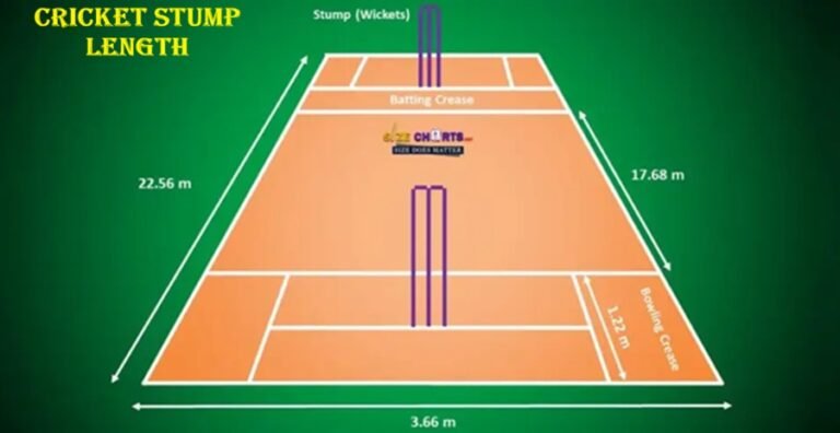 Cricket Stump Length: Official ICC Stump Dimensions, Height, Width & Rules