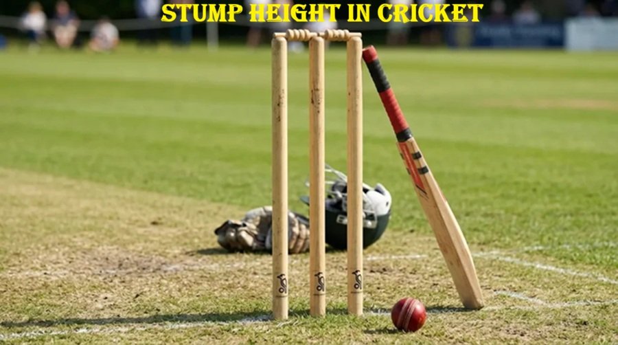 Stump Height in Cricket