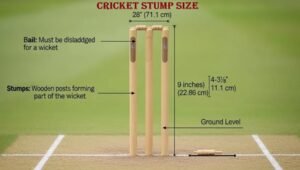 Cricket Stump Size