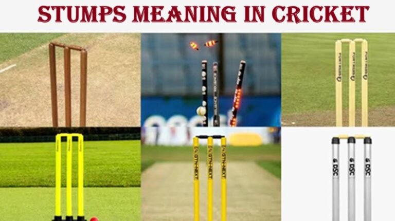 Stumps Meaning in Cricket – Complete Guide to Cricket Stumps, Size, Rules & Uses