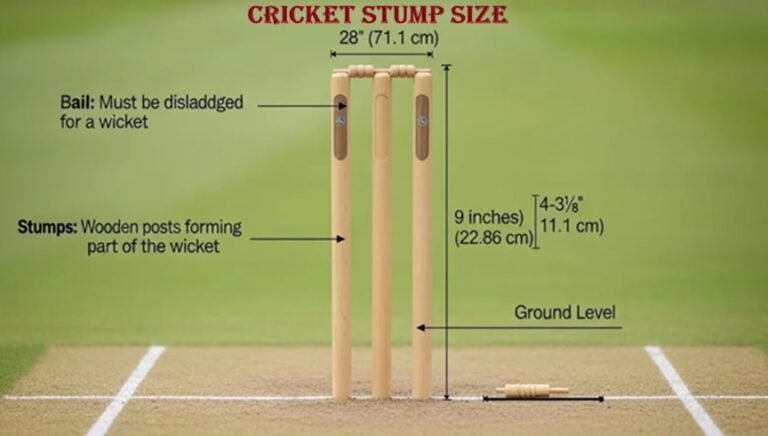 Cricket Stump Size: Official Dimensions, Height, Width & ICC Rules