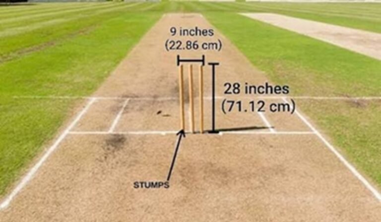 Cricket Stump Height in Inch: Standard Size, Dimensions & Rules