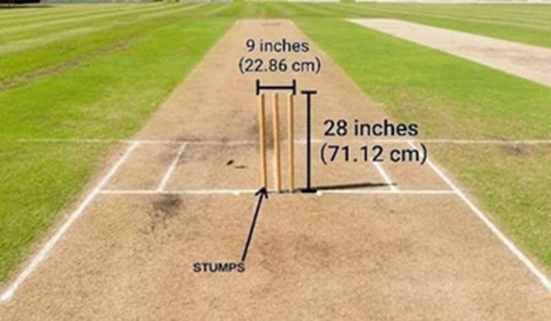 cricket stump height in inch