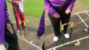 Cricket Stumps With Bails – Types, Sizes, Materials & Buying Guide